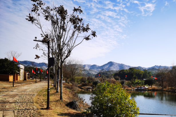 江西金溪县乡村振兴、古村活化示范项目