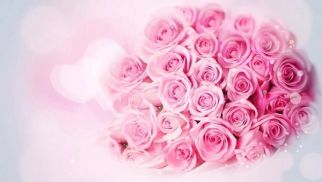 HJC黄金城平台祝全体女同事节日快乐