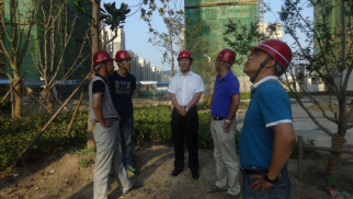 HJC黄金城平台集团董事长肖厚忠赴凤祥铭居公司检查指导工作